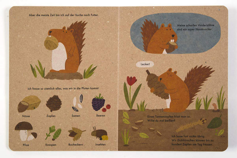 Ich bin das Eichhörnchen - Naturbuch