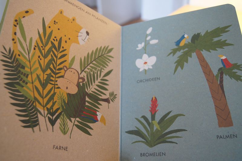 Mein kleiner Dschungel - Naturbuch