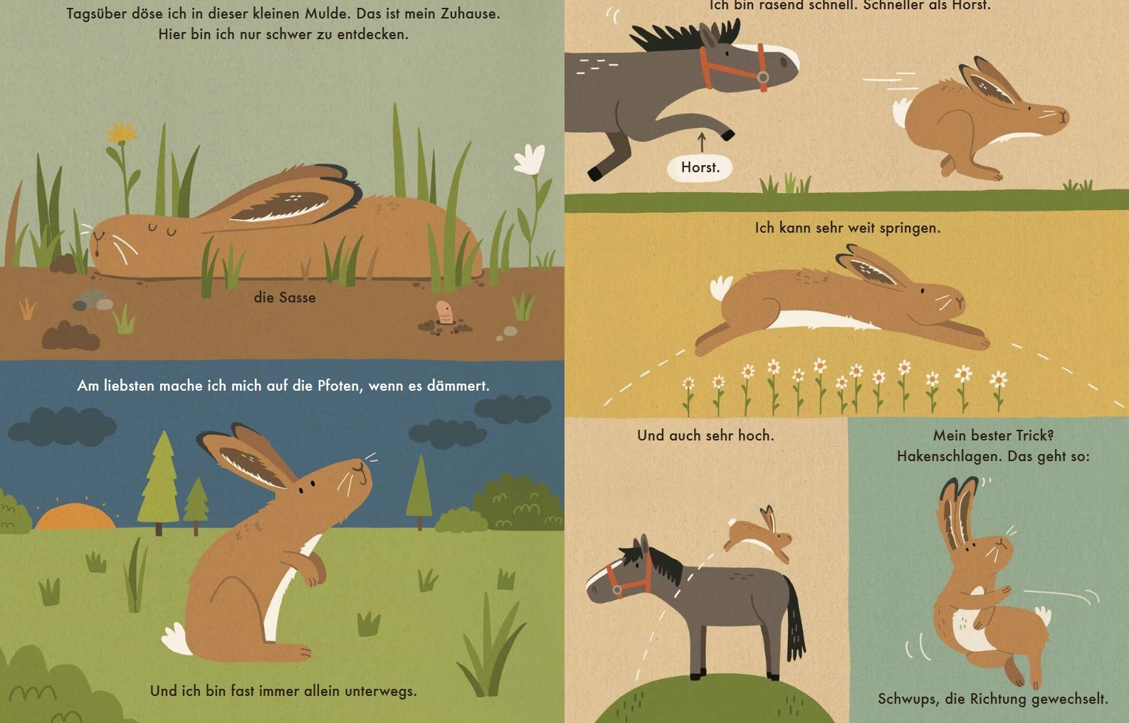 Ich bin der Hase - Naturbuch