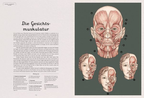 Das Museum des Körpers
