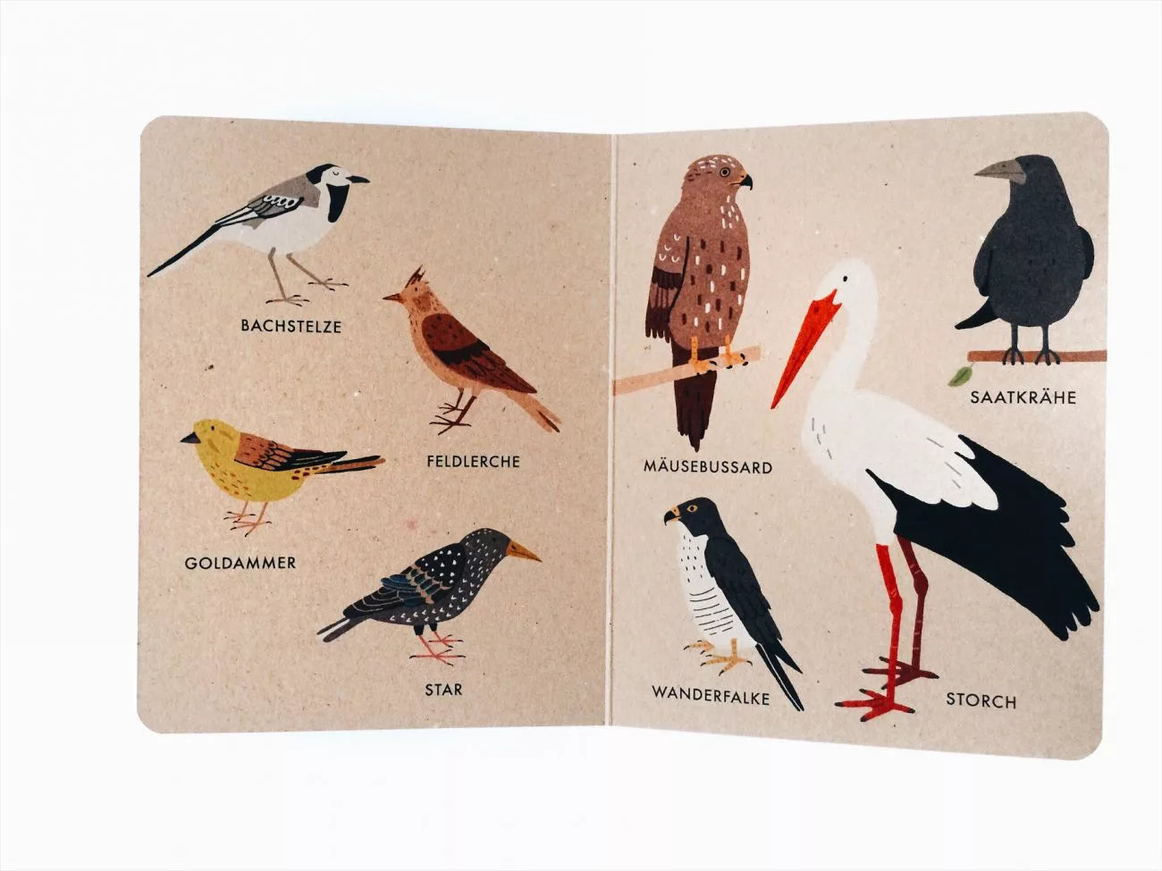 Mein kleines Vogelbuch - Naturbuch