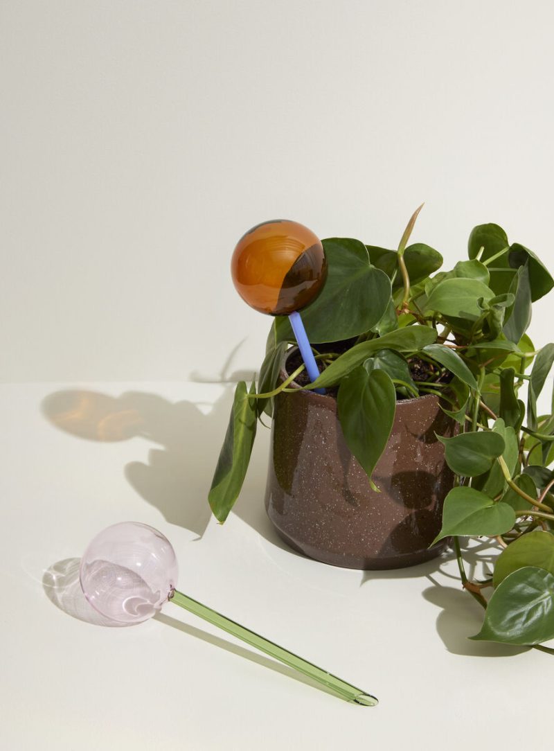 Flora Aqua Globe