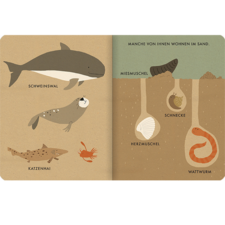 Mein kleines Meer - Naturbuch