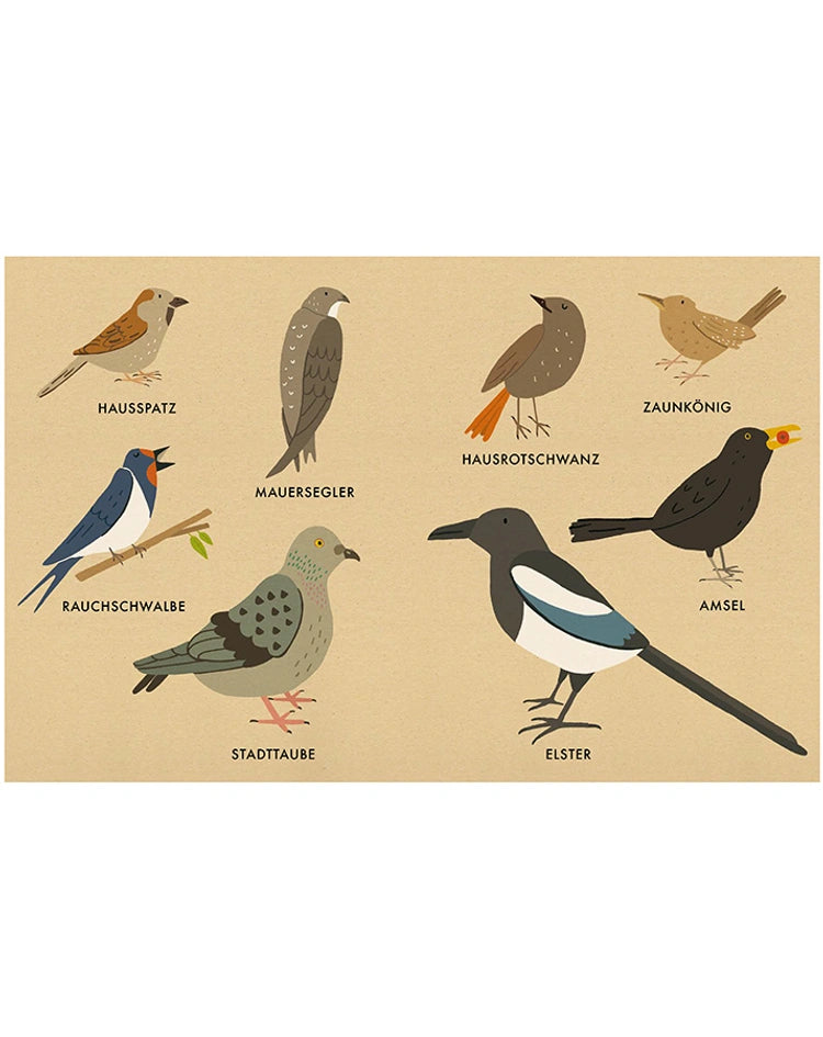 Mein kleines Vogelbuch - Naturbuch