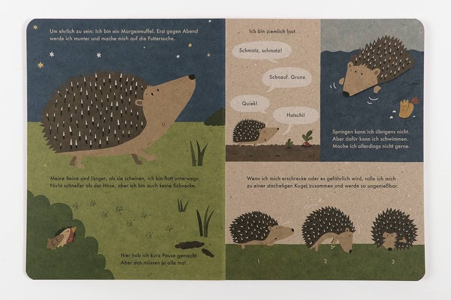 I am a hedgehog - nature book