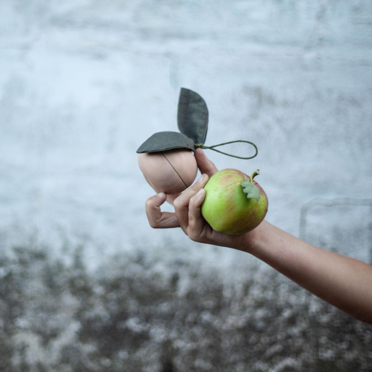 Little Apple Friend - Magnetic magic apple