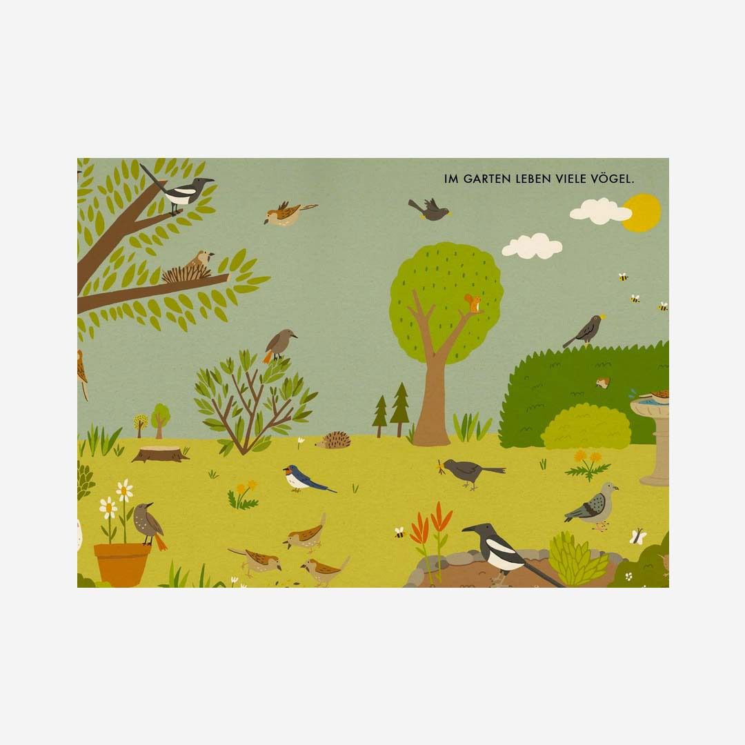 Mein kleines Vogelbuch - Naturbuch