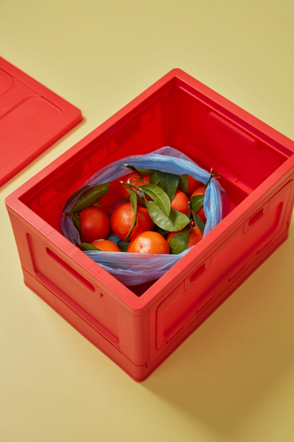 Box Rot