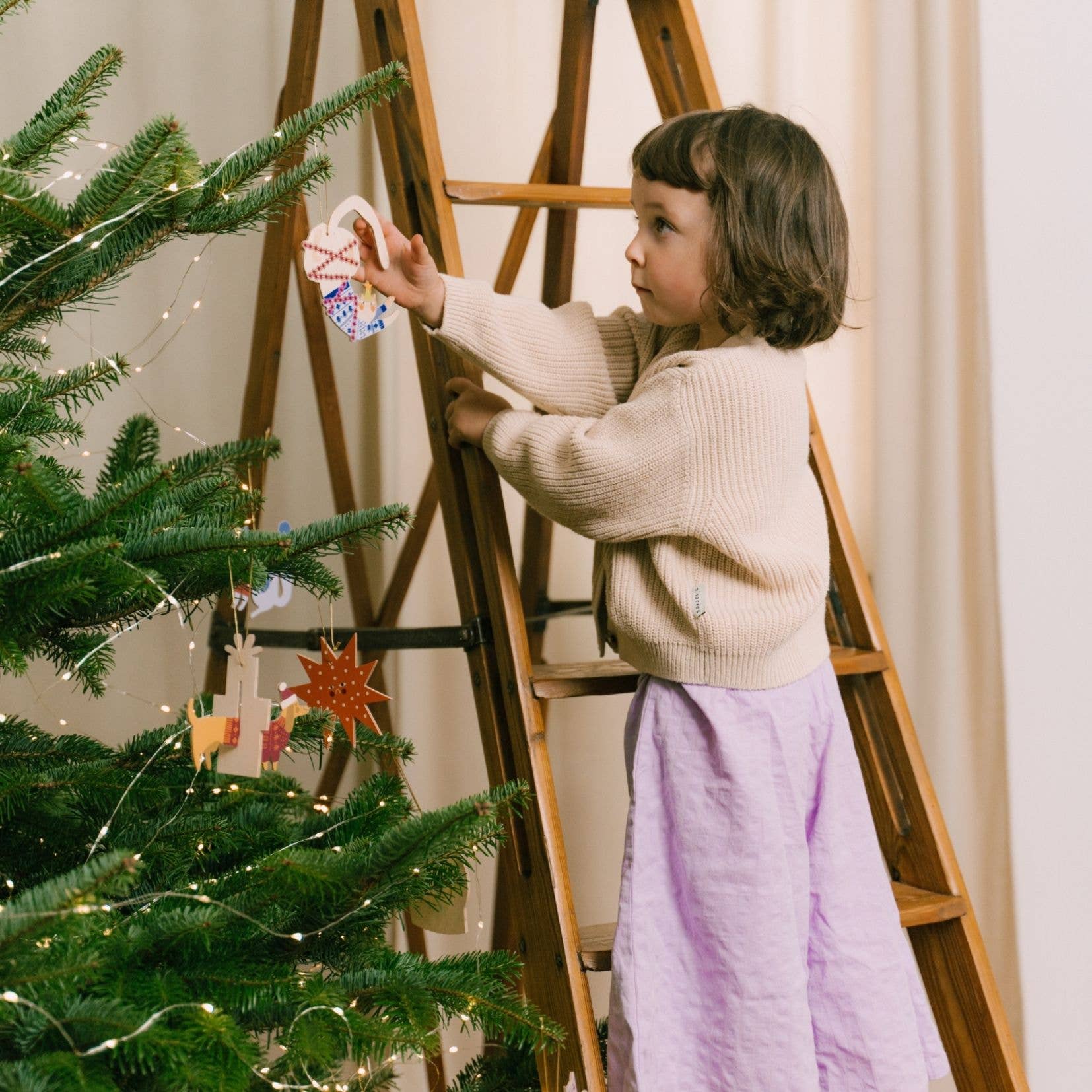 Stern- Weihnachtsdekoration