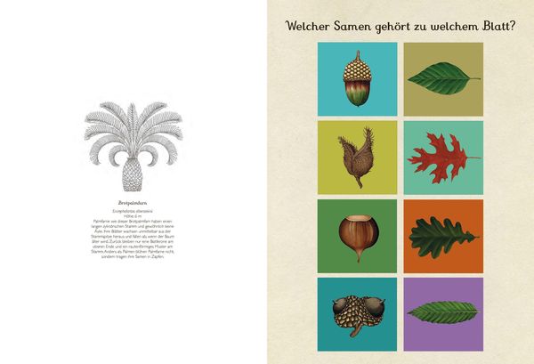 The Museum of Plants - hands-on book