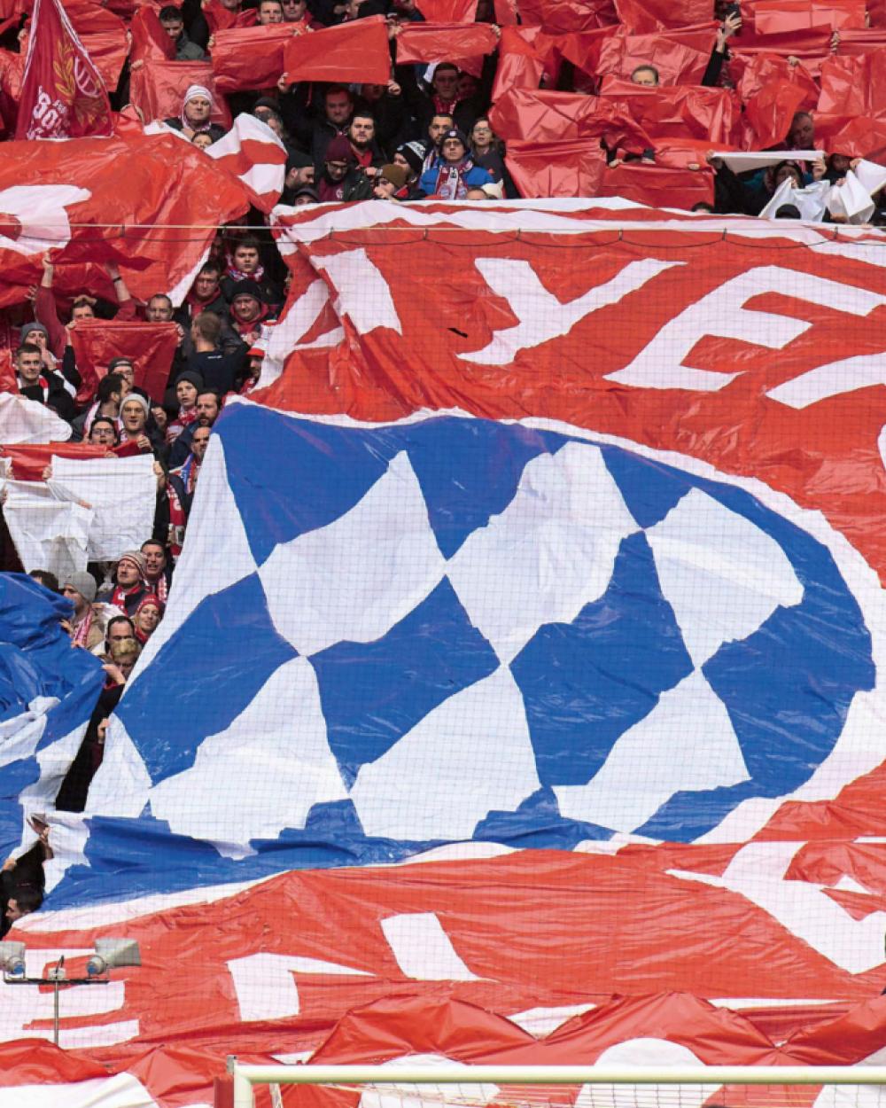 FC Bayerm München: 125 Jahre Mia San Mia - Sachbuch