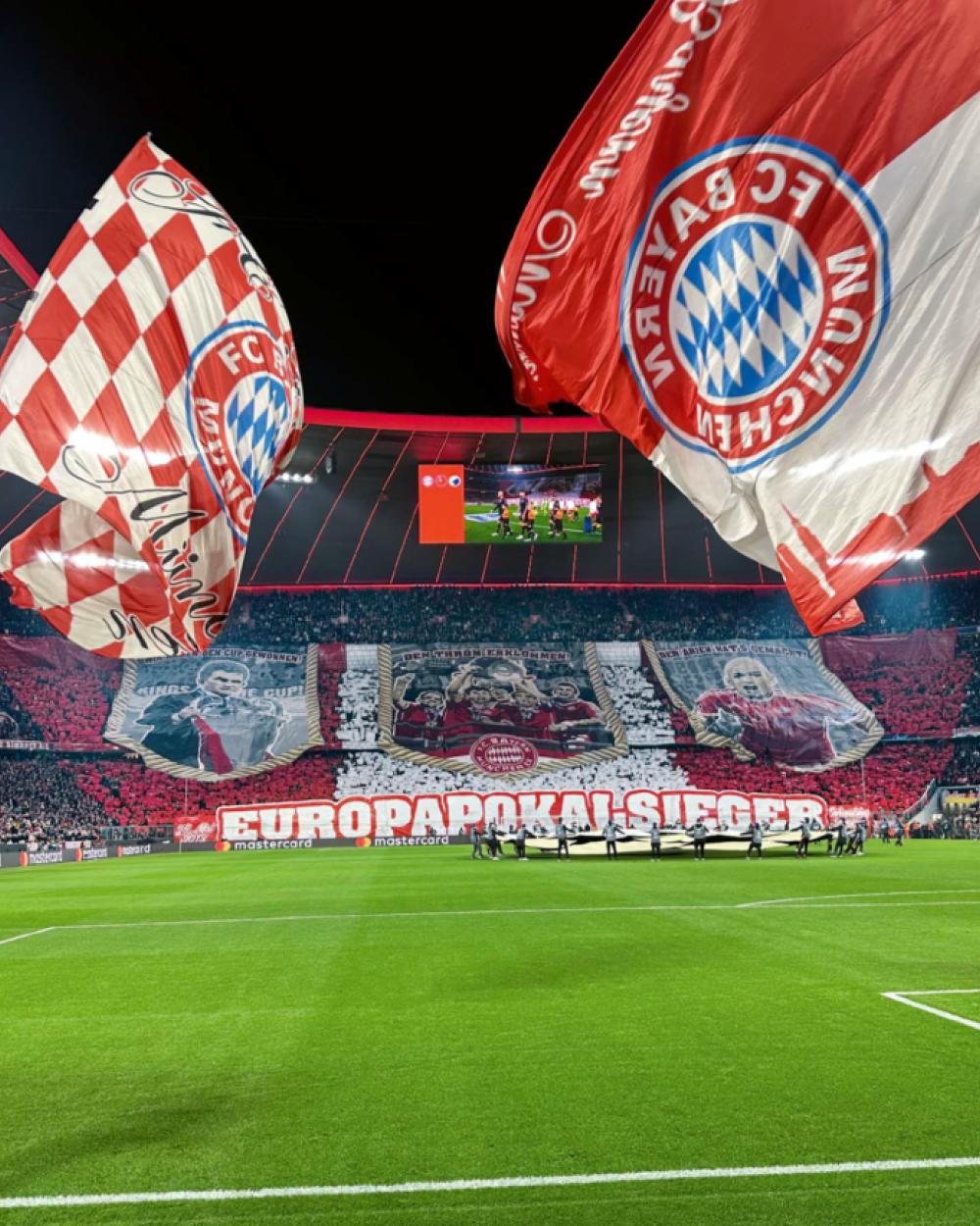 FC Bayerm München: 125 Jahre Mia San Mia - Sachbuch