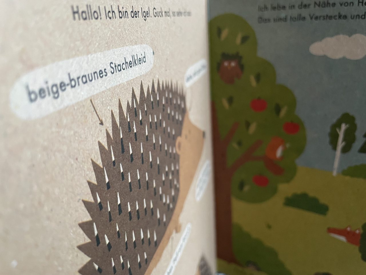 I am a hedgehog - nature book