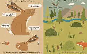 I am the rabbit - nature book