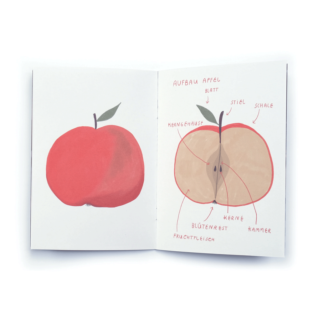 Mitmachbuch - Der Apfel